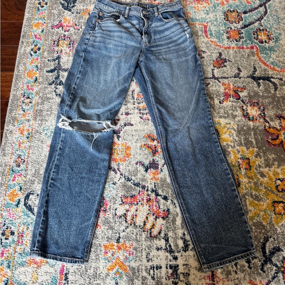 American Eagle Outfitters Classic Blue Denim Jeans